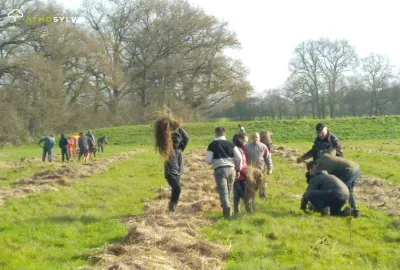Afforestation La chapelle Glain 1