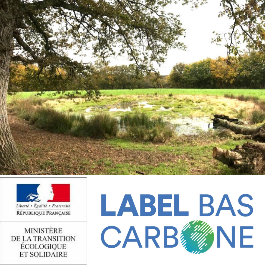 Low Carbon Label Certification