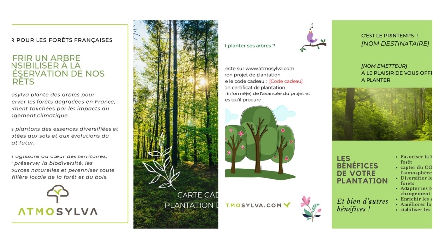 Gift Card - Offer a tree to plant
