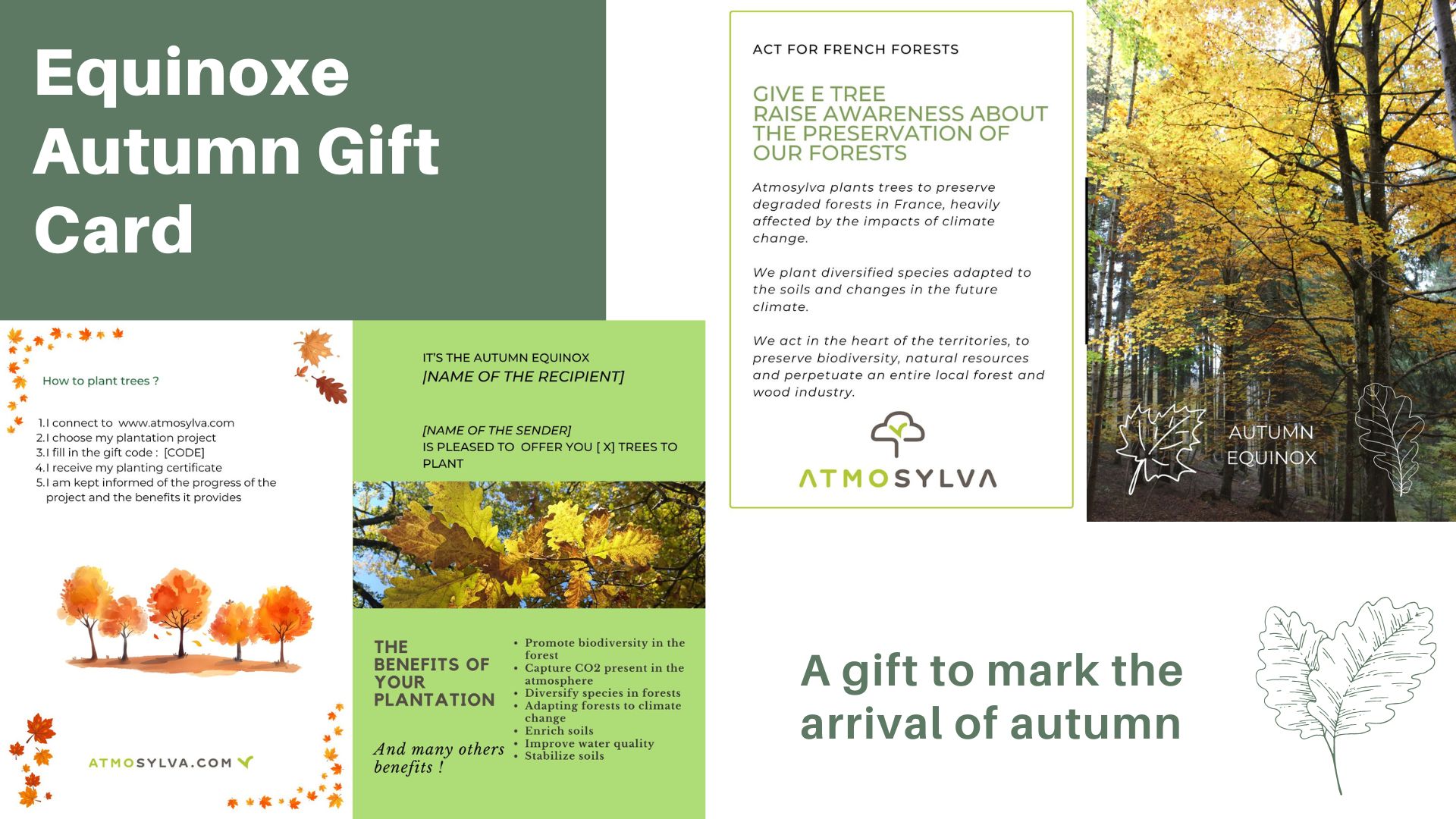 Autumn Giftcard