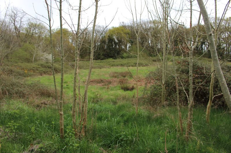 Afforestation Morganx #2, Landes