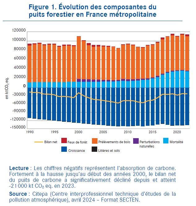 Evolution des composantes du puits forestier en France métropolitaine