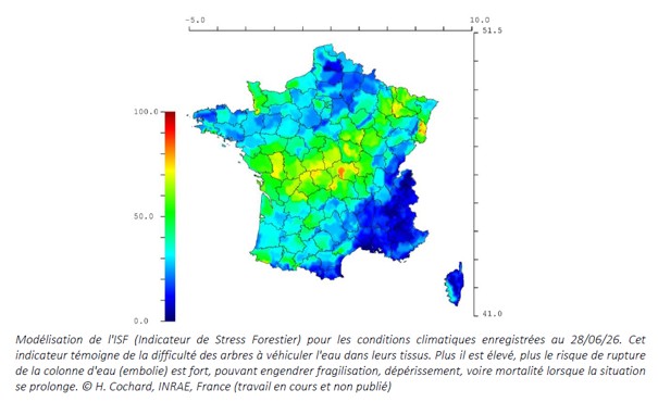 Modalisation Indice de stresse forestier juin 2026