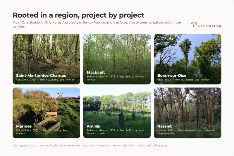 Taking root in a territory, project by project