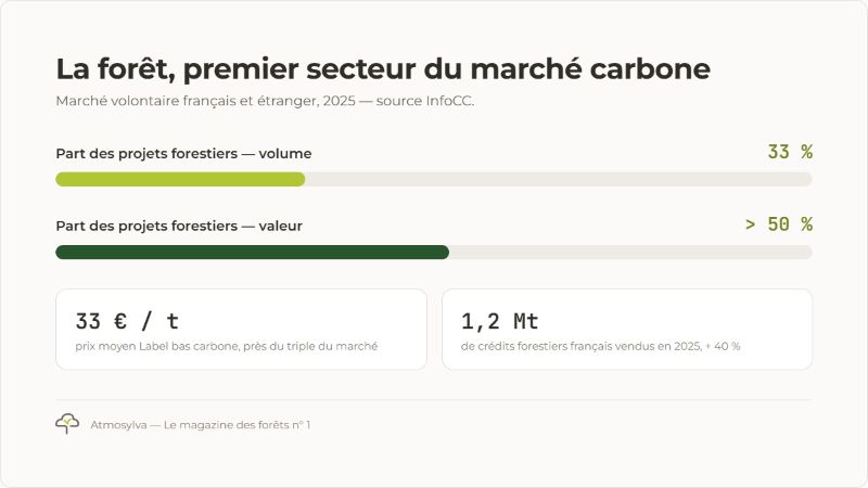 Forêt, premier secteur du marché carbone