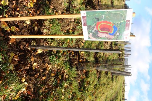 Bordure de parcelle à boiser