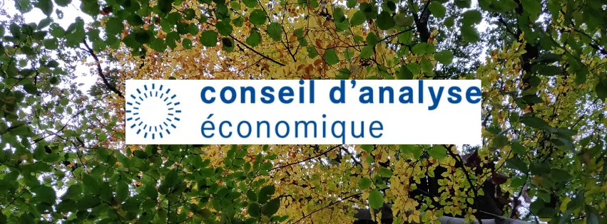 Conseil d'analyse économique - Forêt - Services Ecosystémiques