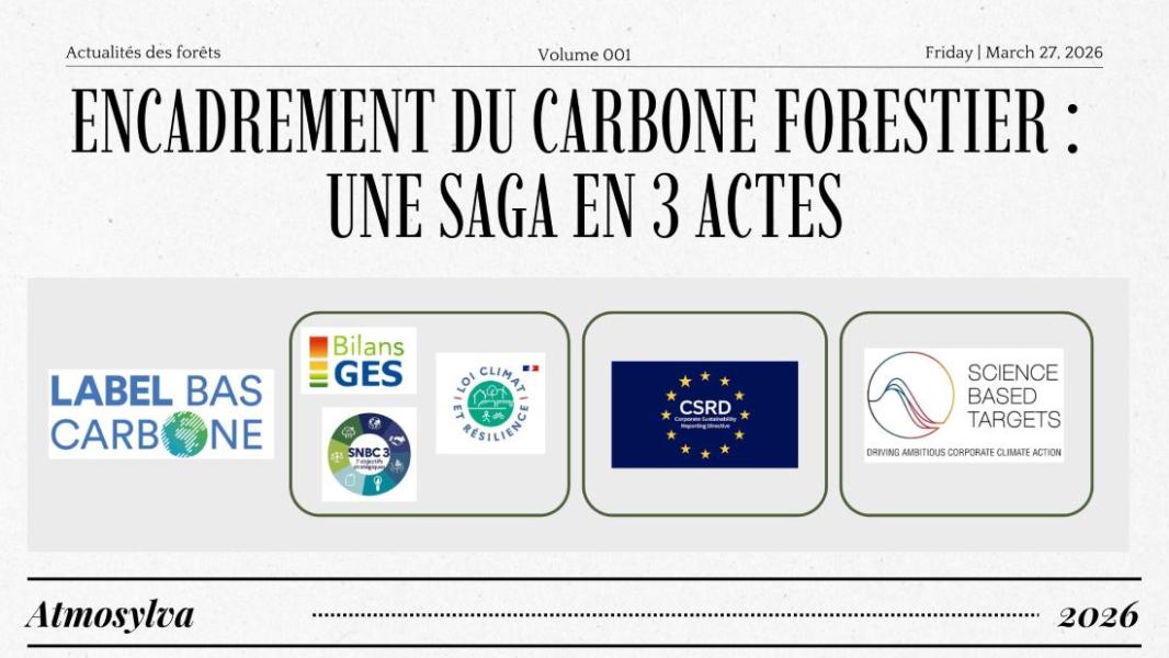 Encadrement du carbone forestier : une saga en 3 actes