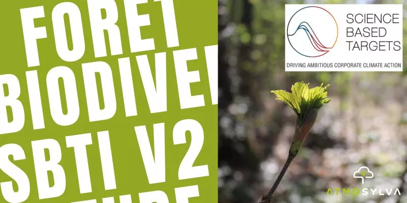 SBTi V2 : réduire ses émissions et restaurer la forêt
