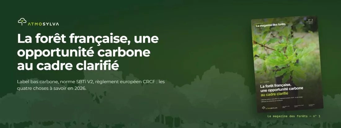 French forests: a carbon opportunity with a clearer framework