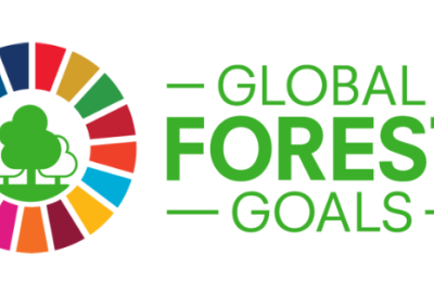 Global Forest Goals