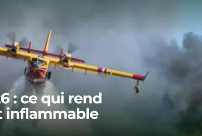 2026 : ce qui rend une forêt inflammable