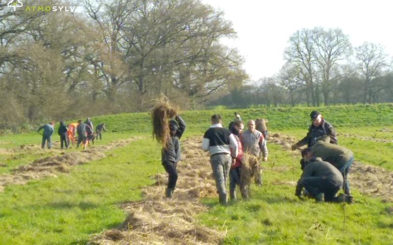 Plantation La chapelle Glain 1